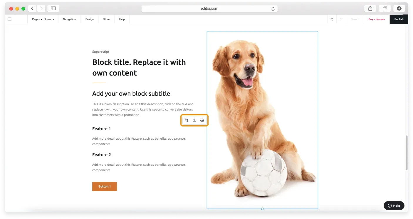 Image controls appearing over a demo image in a block