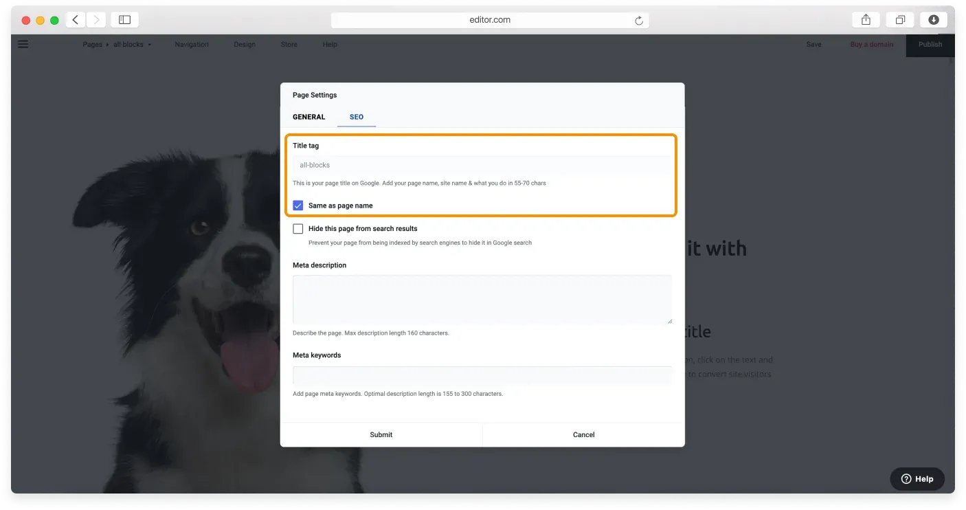 The title tag area with the Same as page name checkbox ticked