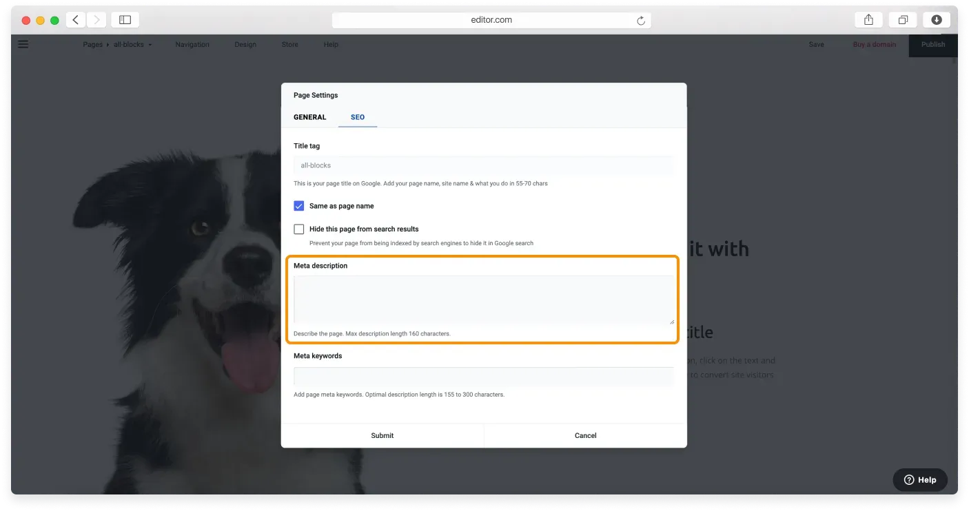 The Meta description field where you type your page summary
