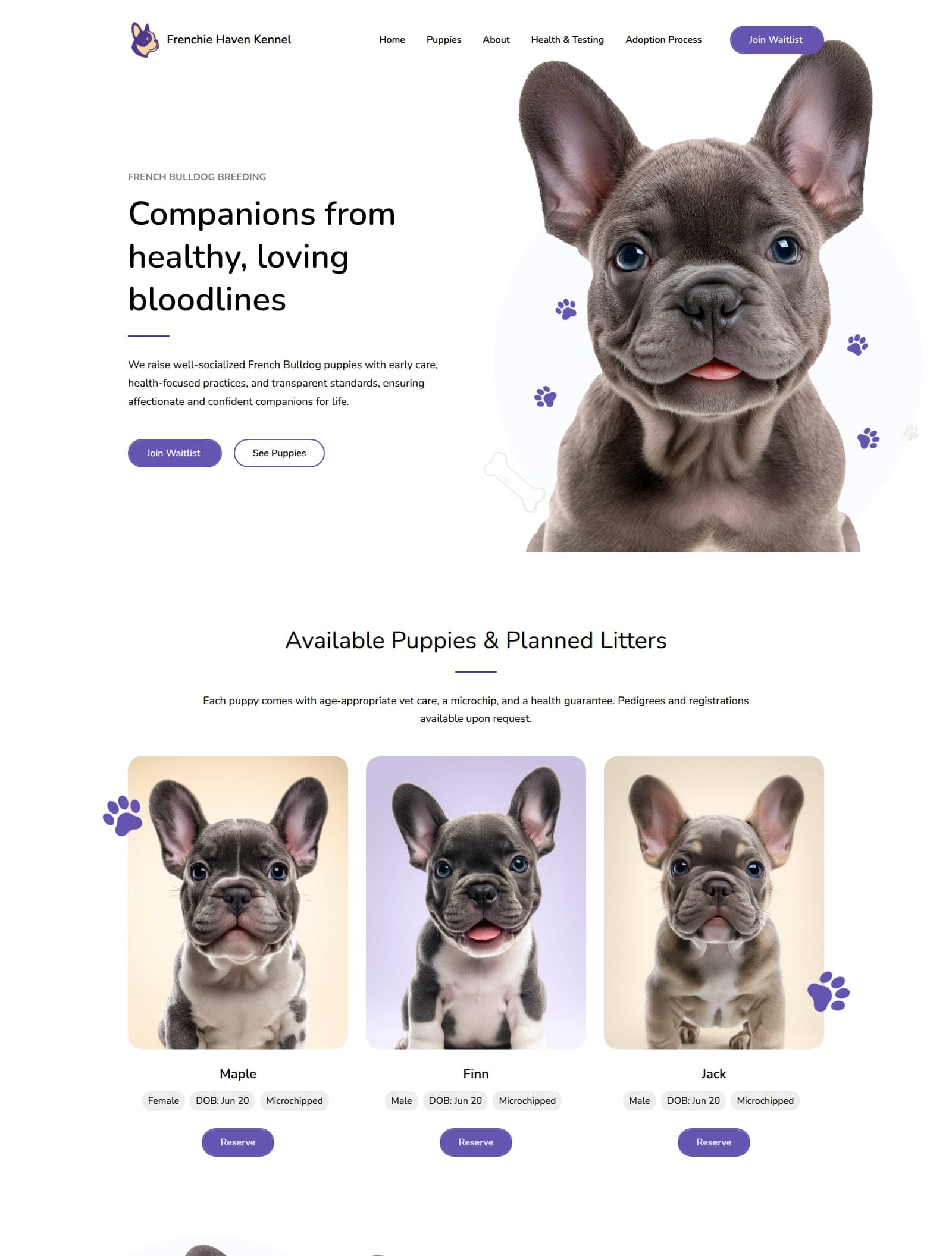 Dog Breeder