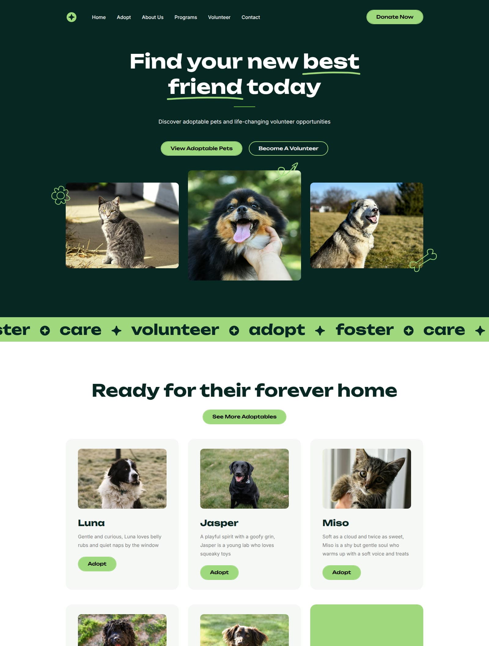 Animal Shelter